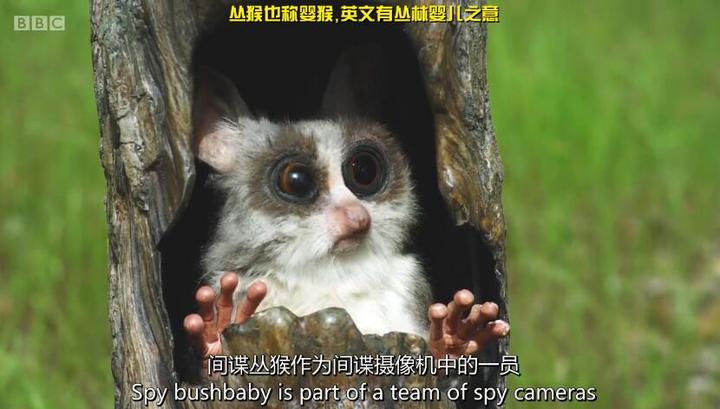 反套路急诊室一夜
